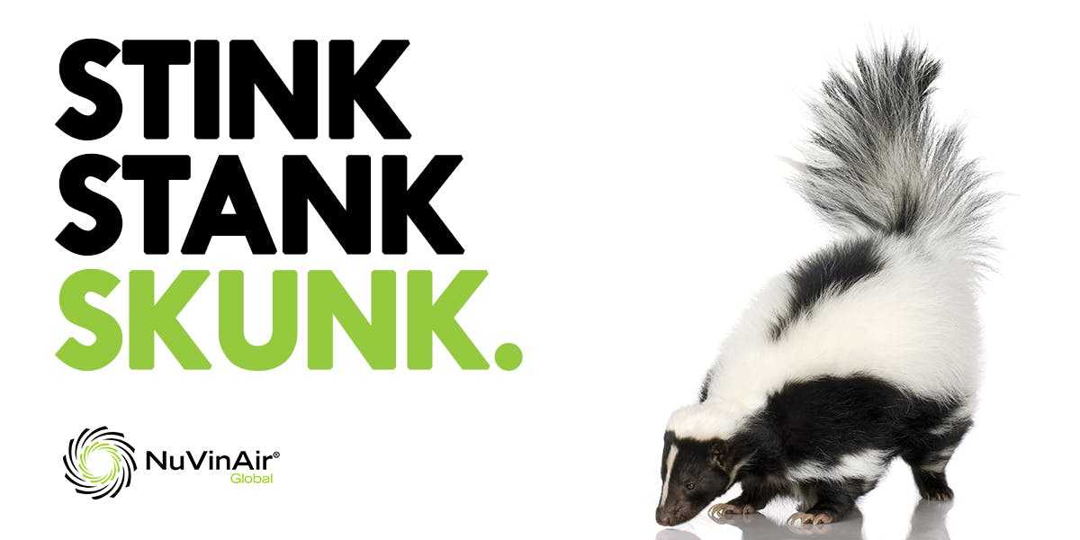 Dead Skunk in the Middle of the Road. - NuVinAir